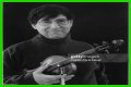 David Shapiro (musician)