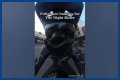 Night Rider Arrested, What Happened To Night Rider?